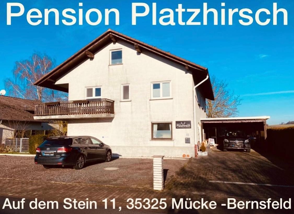 Pension Platzhirsch Mücke Zewnętrze zdjęcie